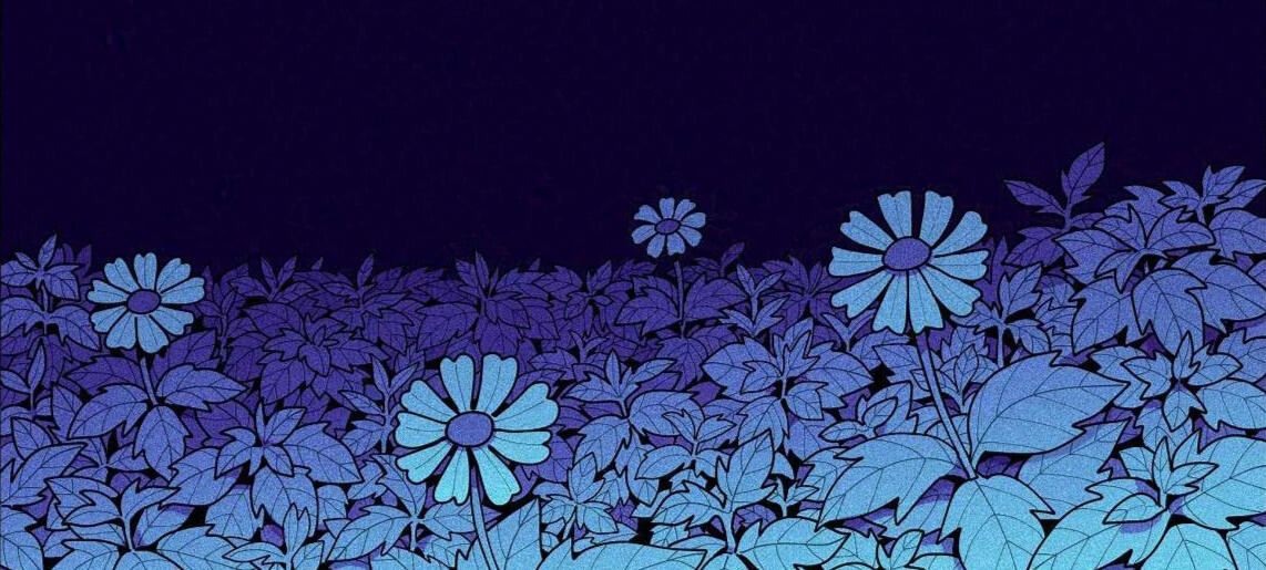 click for a surprise!